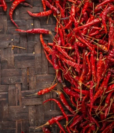 The Art Of Choosing The Right Chilli: Exploring India’s Spicy Diversity