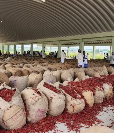 Top 5 Indian Spices That Transform Your Dishes